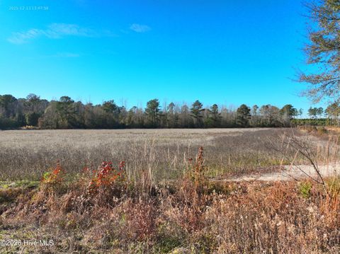 Tiny photo for 1563 Croomsbridge Road, Burgaw, NC 28425 (MLS # 100561904)