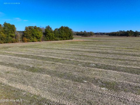 Tiny photo for 1563 Croomsbridge Road, Burgaw, NC 28425 (MLS # 100561904)
