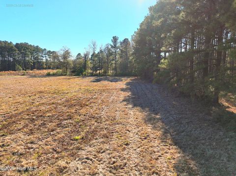 Tiny photo for 1563 Croomsbridge Road, Burgaw, NC 28425 (MLS # 100561904)