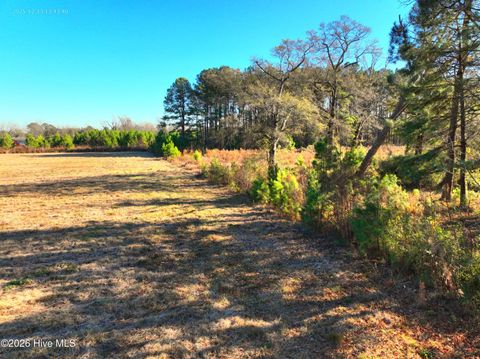 Tiny photo for 1563 Croomsbridge Road, Burgaw, NC 28425 (MLS # 100561904)