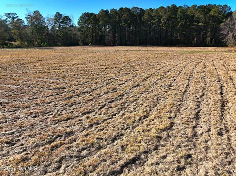 Tiny photo for 1563 Croomsbridge Road, Burgaw, NC 28425 (MLS # 100561904)