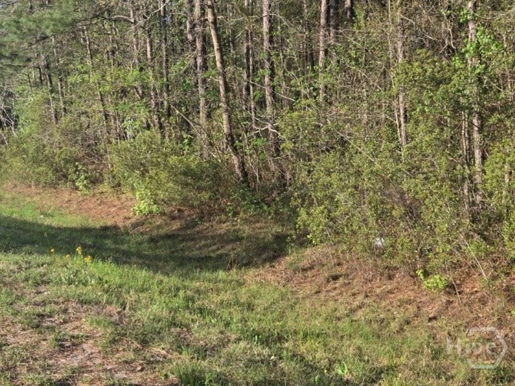 Photo of 0000 Bill Carter Road, Midway, GA 31320 (MLS # SA352592)