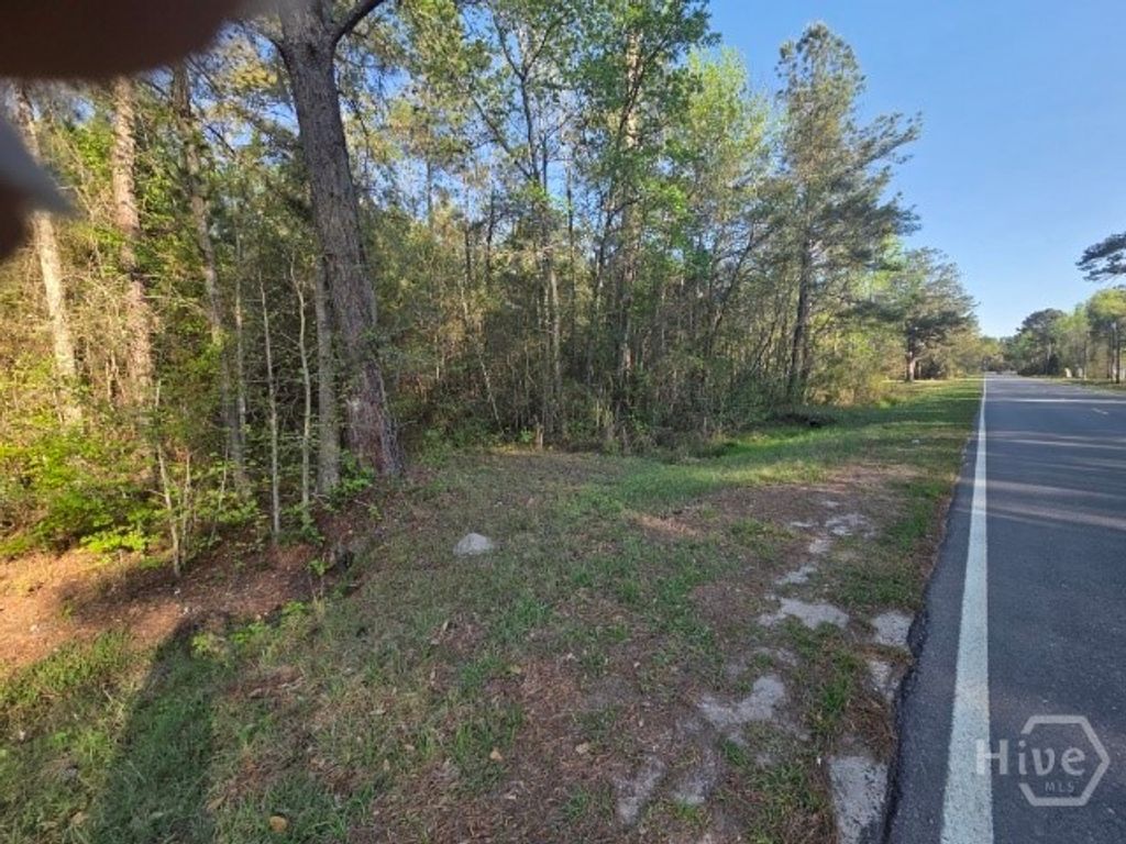 Photo of 0000 Bill Carter Road, Midway, GA 31320 (MLS # SA352592)