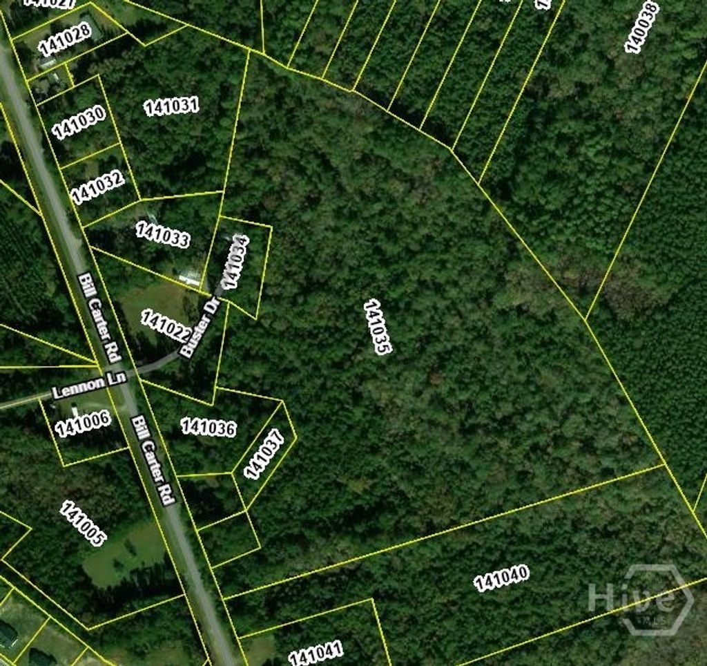 Photo of 0000 Bill Carter Road, Midway, GA 31320 (MLS # SA352592)