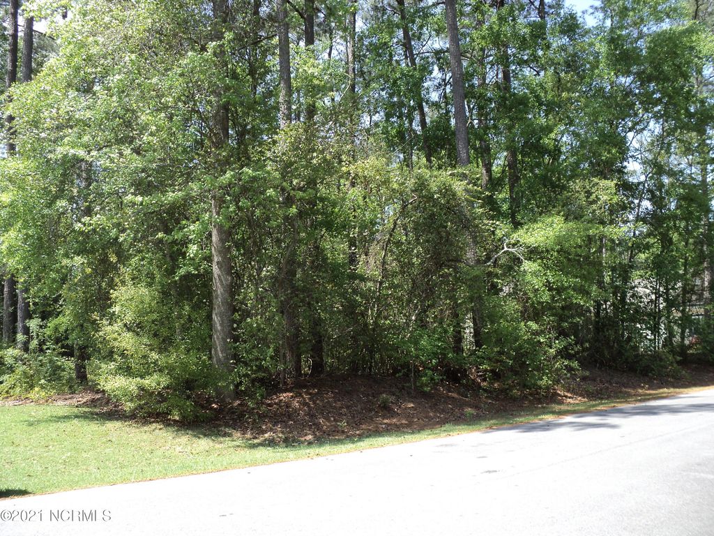 Photo of 53 W Fairway Drive, Washington, NC 27889 (MLS # 100273028)