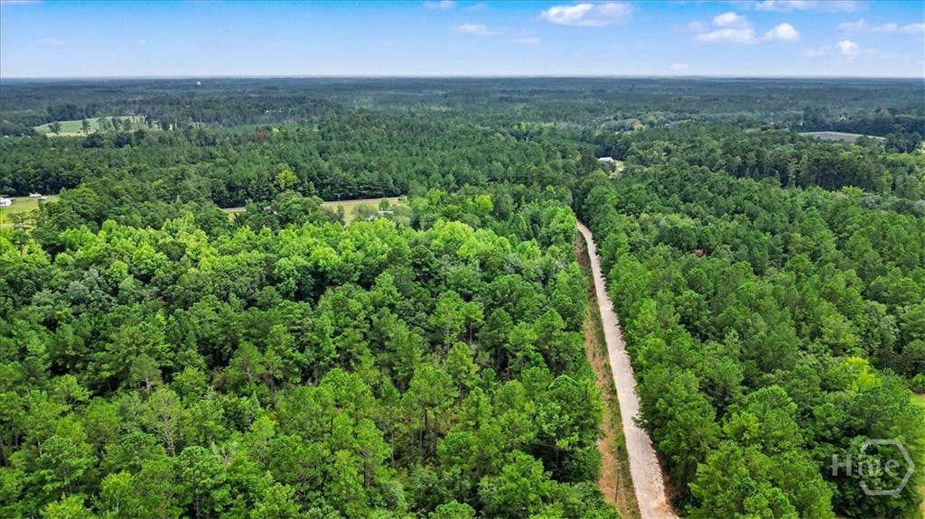 Photo of 0 Lawrence Church Road, Pembroke, GA 31321 (MLS # SA361902)