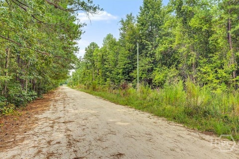 Vacant Land For Sale - Lawrence Church Road<br/> Pembroke, GA 31321