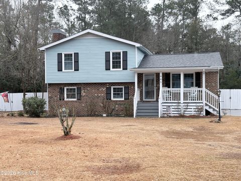 Photo of 905 E Wilmington Street, Burgaw, NC 28425 (MLS # 100555463)