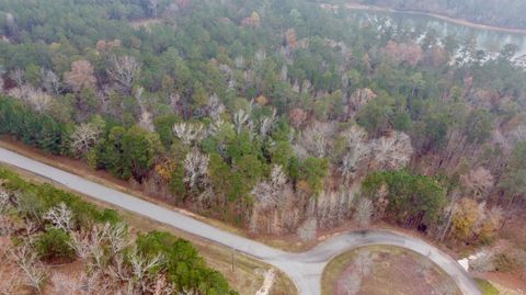 Vacant Land For Sale - 1549 Treasure Cove<br/> Lincoln County, Tignall, GA 30668
