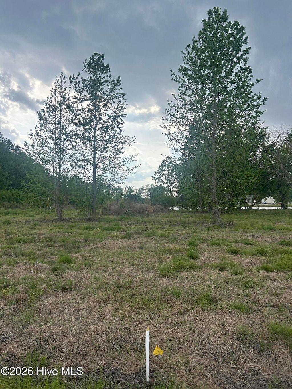 Photo of 6 Crumpler Lake Lane, Clinton, NC 28328 (MLS # 100562123)