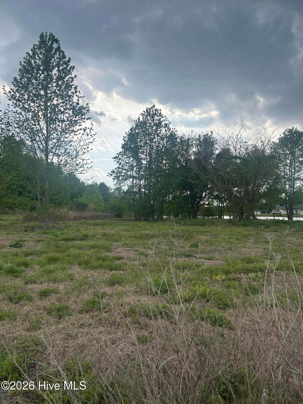 Photo of 6 Crumpler Lake Lane, Clinton, NC 28328 (MLS # 100562123)
