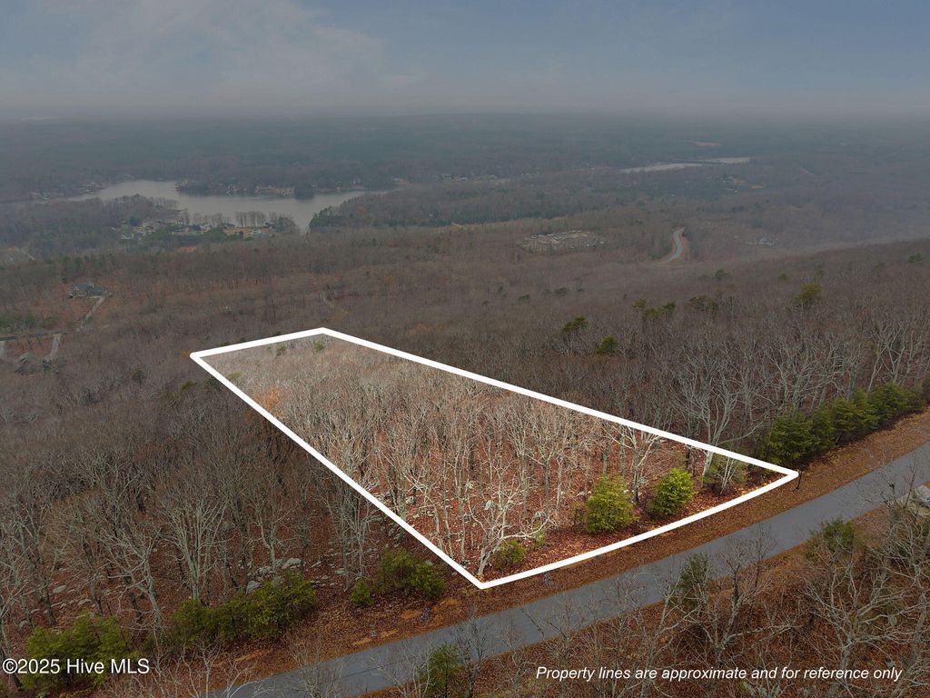 Photo of 2389 Sierra Trace Road, Denton, NC 27239 (MLS # 100544815)