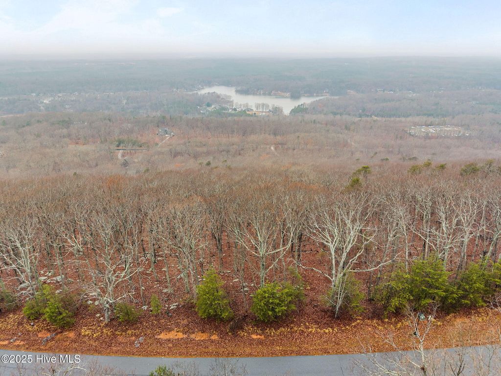 Photo of 2389 Sierra Trace Road, Denton, NC 27239 (MLS # 100544815)