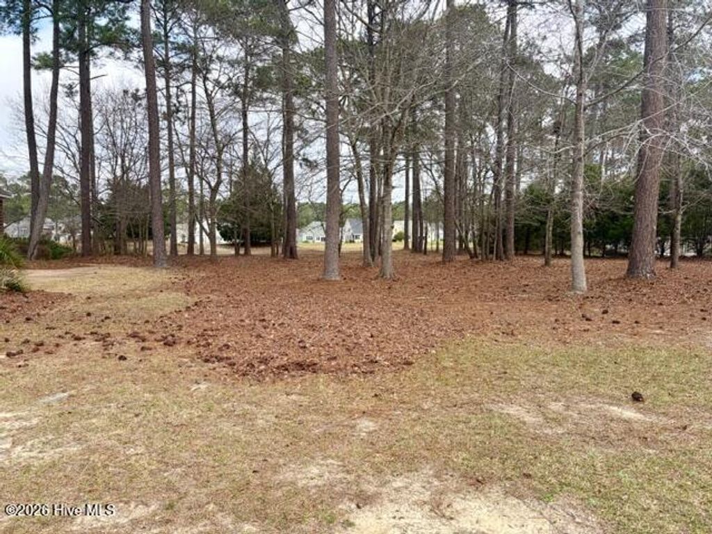 Photo of 500 Riverwood Drive SE, Bolivia, NC 28422 (MLS # 100559820)