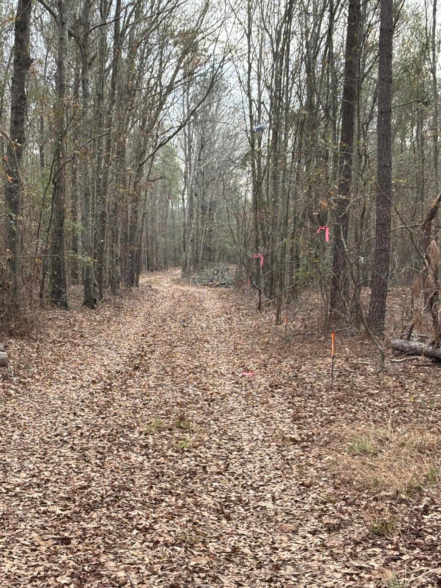 745 Wright Allen Road