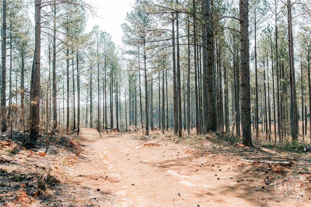 Photo of 0 Washington Road, Lexington, GA 30648 (MLS # CL352378)