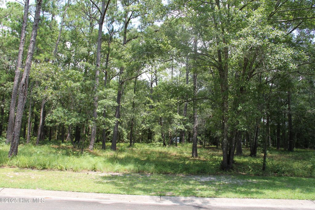 Photo of 469 Shiloh Lane SE, Bolivia, NC 28422 (MLS # 100522404)