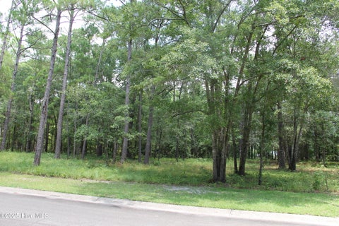Vacant Land For Sale - 469 Shiloh Lane<br/> Bolivia, NC 28422
