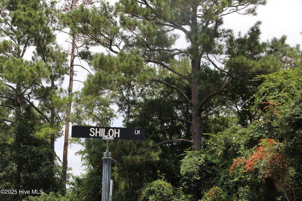 Photo of 469 Shiloh Lane SE, Bolivia, NC 28422 (MLS # 100522404)