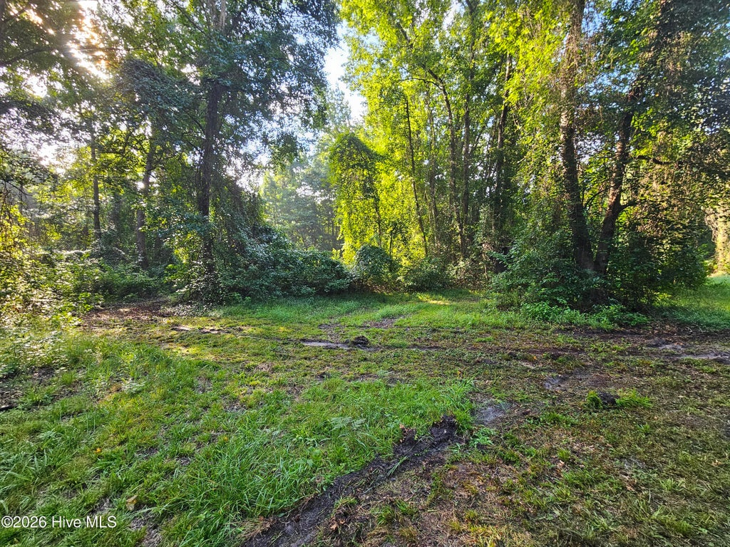 Photo of 81 E Waterway Drive, Belhaven, NC 27810 (MLS # 100594370)