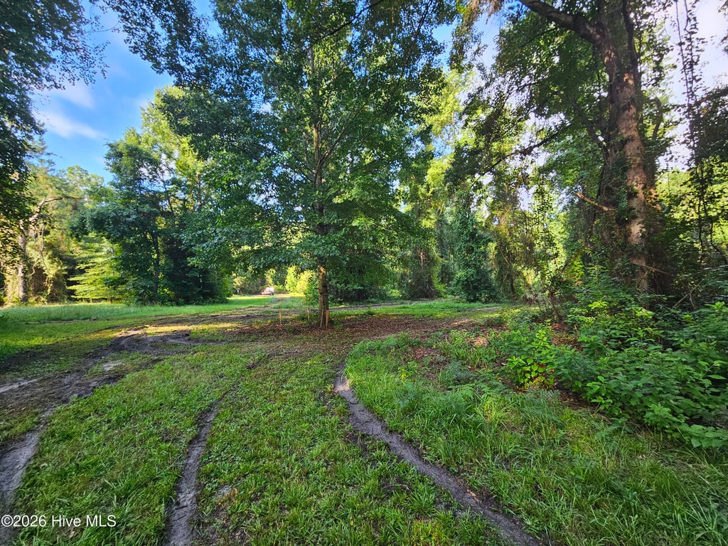 Photo of 81 E Waterway Drive, Belhaven, NC 27810 (MLS # 100594370)