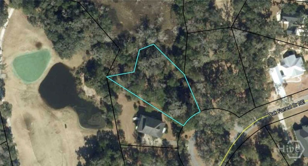 Photo of 0 Oak Forest Drive NE, Townsend, GA 31331 (MLS # CL356278)