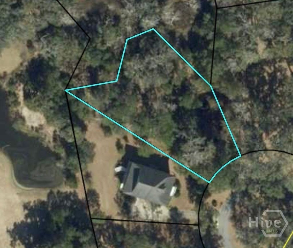 Photo of 0 Oak Forest Drive NE, Townsend, GA 31331 (MLS # CL356278)