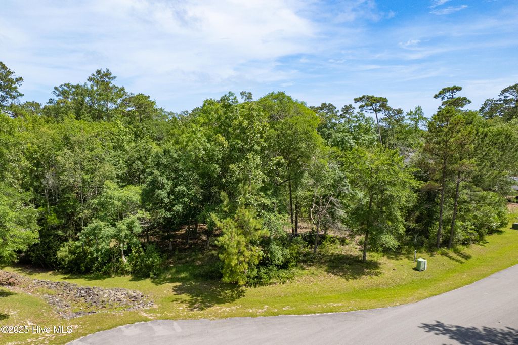 Photo of 1766 Oyster Harbour Parkway SW, Supply, NC 28462 (MLS # 100513716)