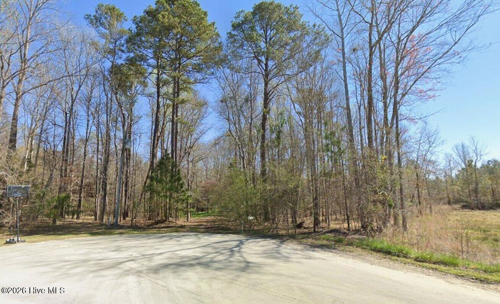 Photo of 44 Crystal Court, New Bern, NC 28560 (MLS # 100575933)