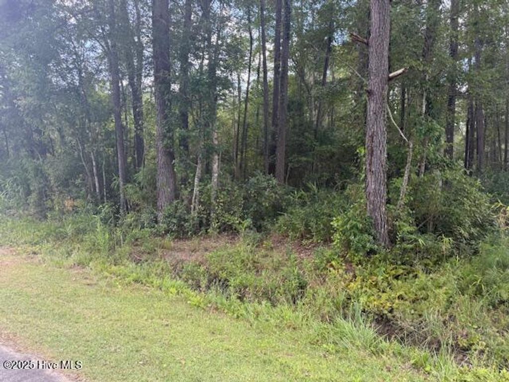 Photo of 2539 Chauncey Town Road, Lake Waccamaw, NC 28450 (MLS # 100575809)