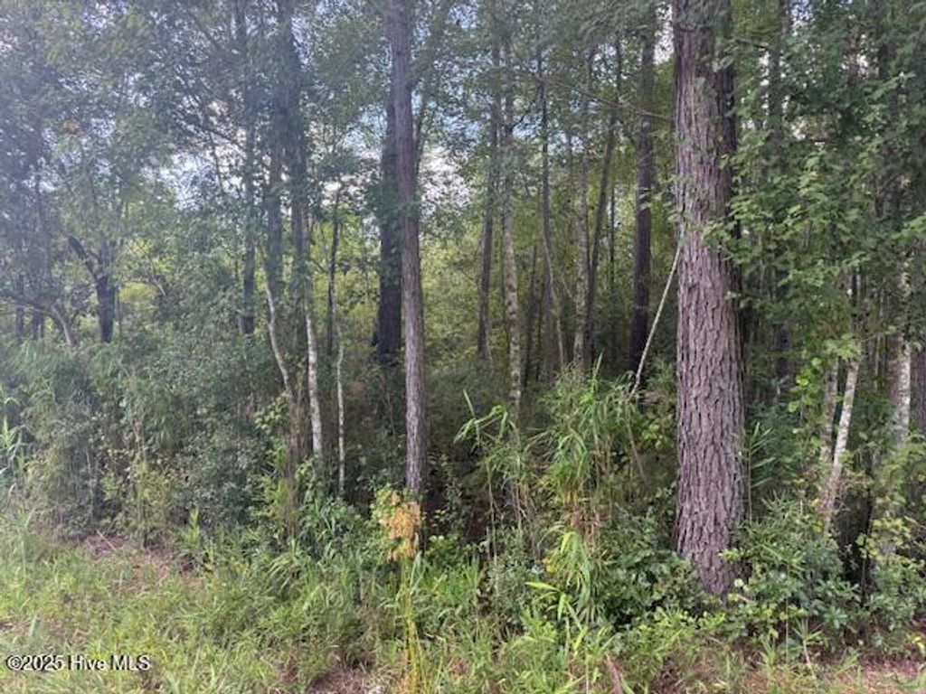 Photo of 2539 Chauncey Town Road, Lake Waccamaw, NC 28450 (MLS # 100575809)