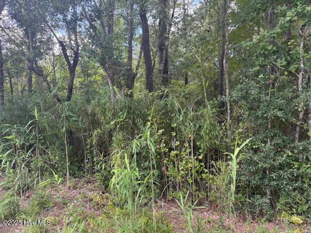 Photo of 2539 Chauncey Town Road, Lake Waccamaw, NC 28450 (MLS # 100575809)