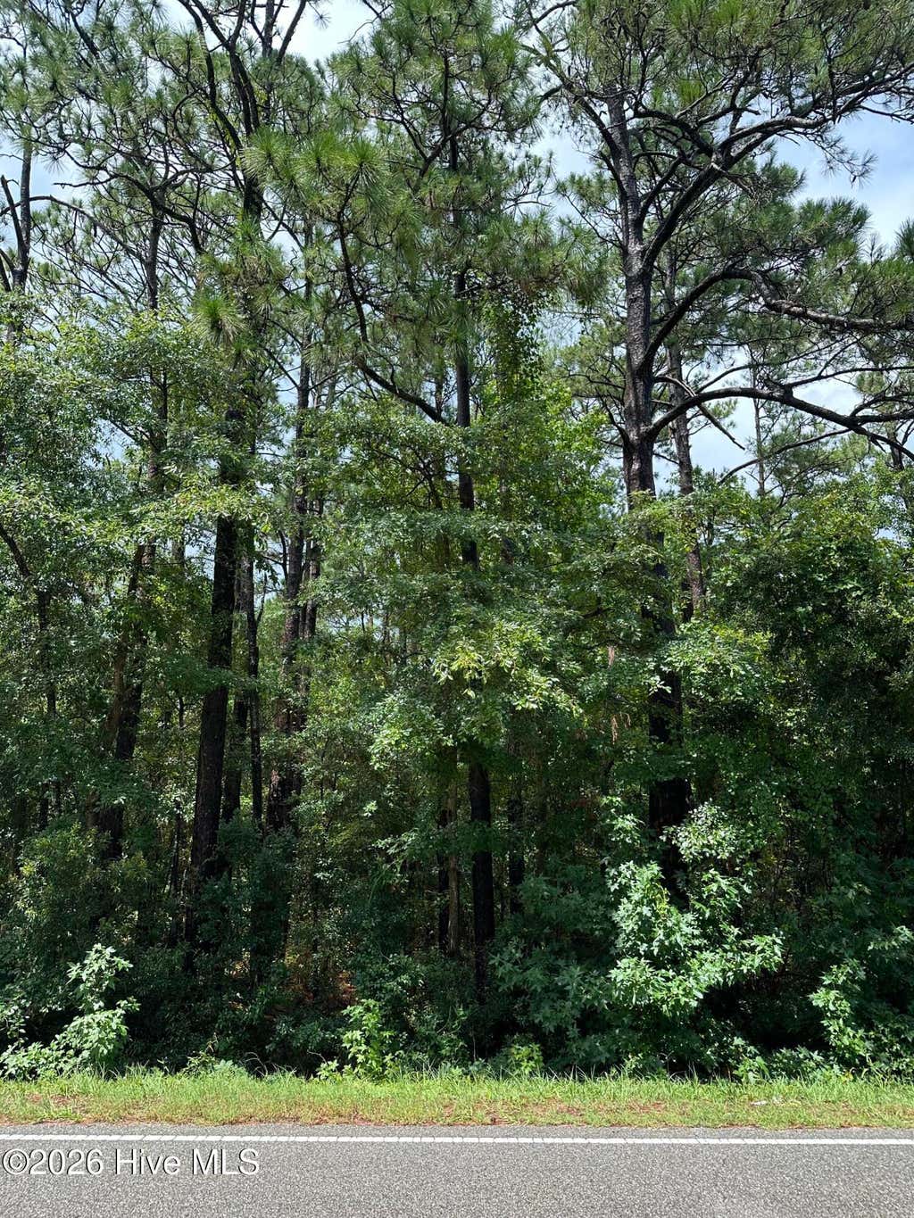 Photo of 212 Golden Road, Wilmington, NC 28409 (MLS # 100594772)