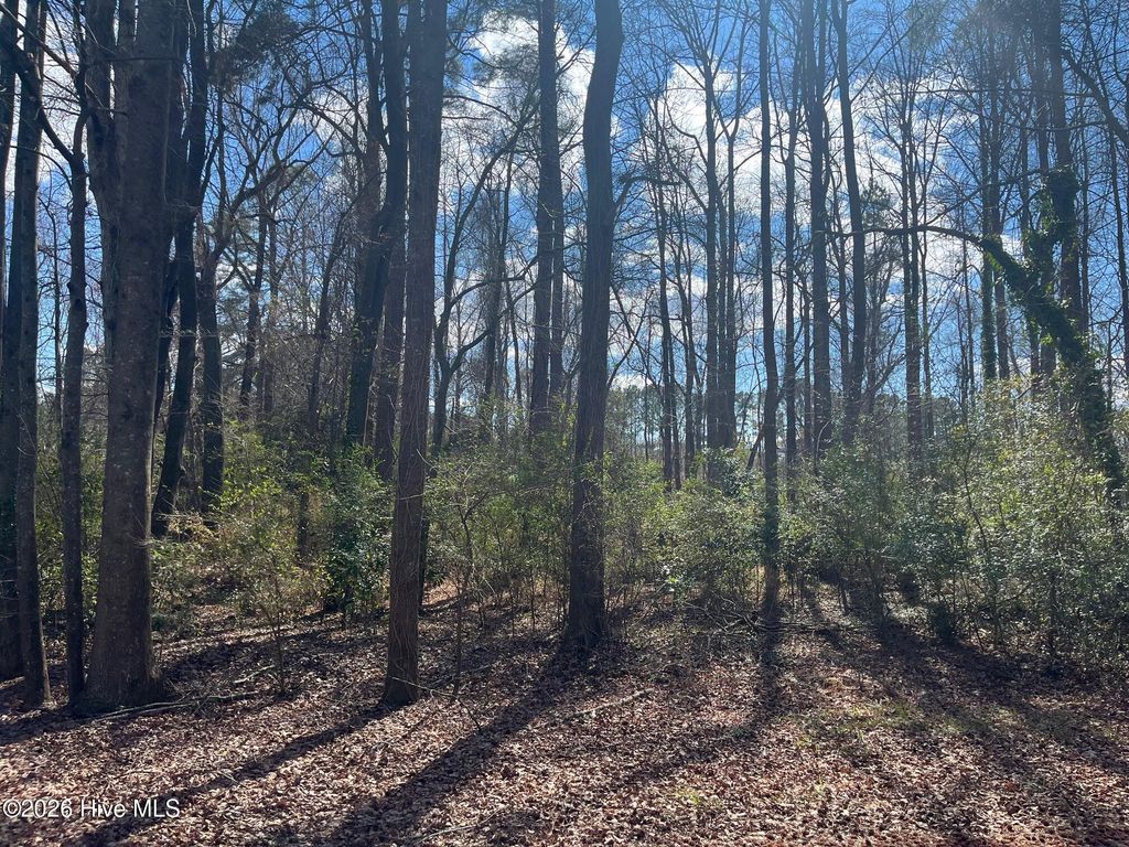 Photo of 11 Brookwood Road, Kinston, NC 28504 (MLS # 100556534)