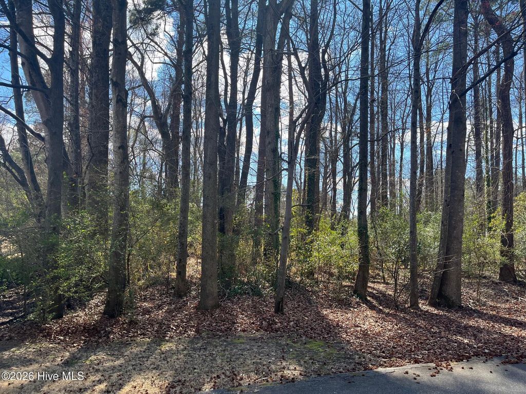 Photo of 11 Brookwood Road, Kinston, NC 28504 (MLS # 100556534)