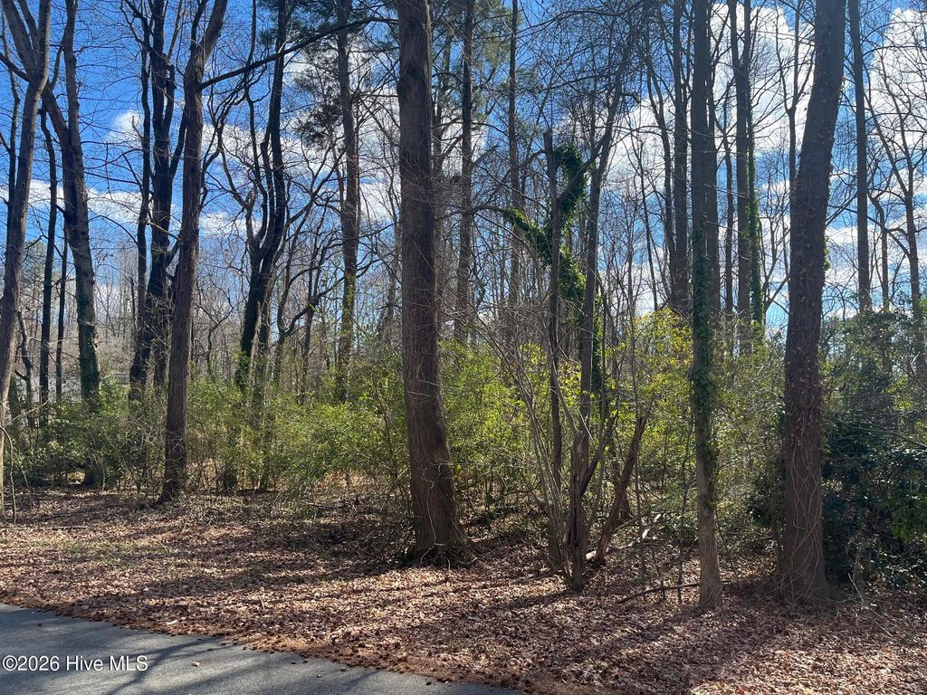 Photo of 11 Brookwood Road, Kinston, NC 28504 (MLS # 100556534)