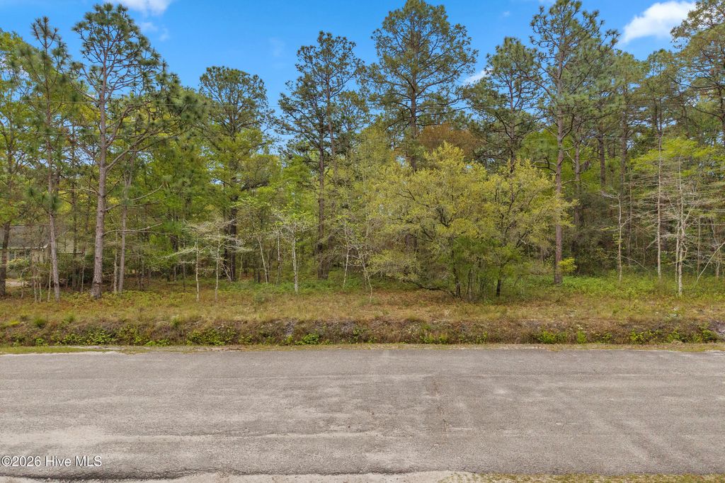 Photo of 3 Deer Run Road SW, Carolina Shores, NC 28467 (MLS # 100569664)