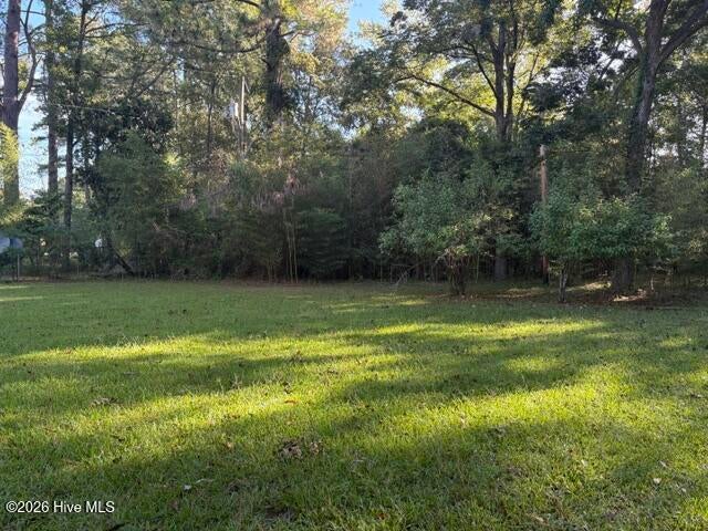 Photo of 503 Covington Drive, Kinston, NC 28501 (MLS # 100602318)