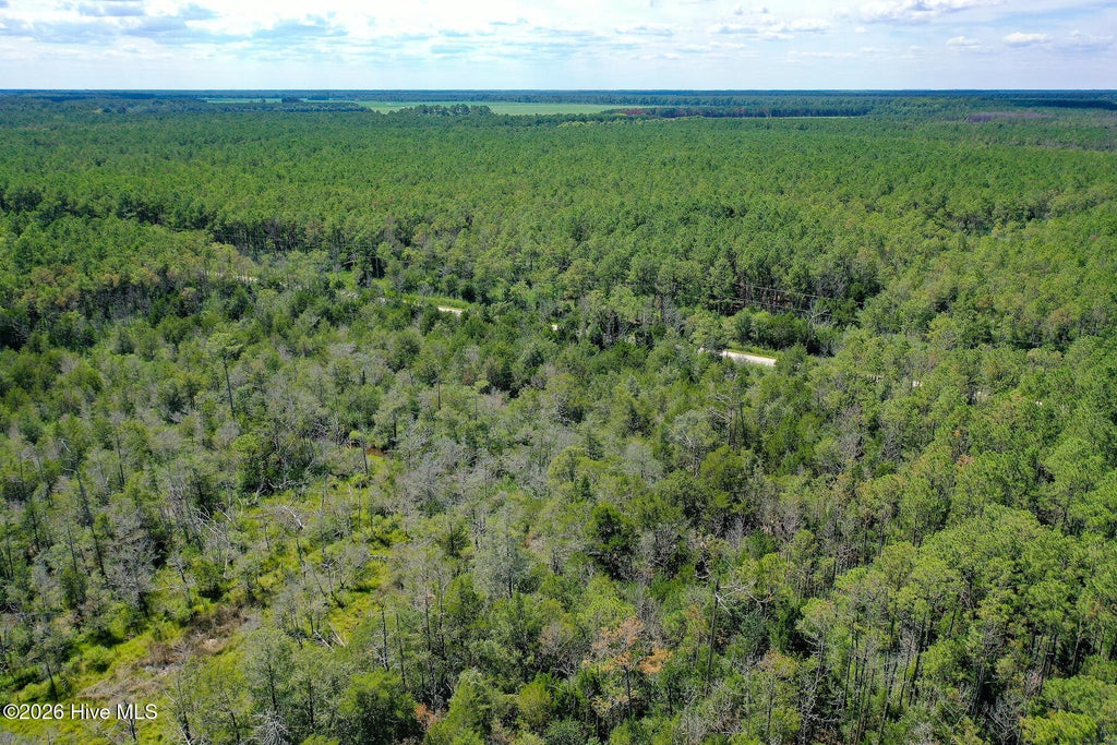 Photo of 457 Meekins Road, Bayboro, NC 28515 (MLS # 100586256)