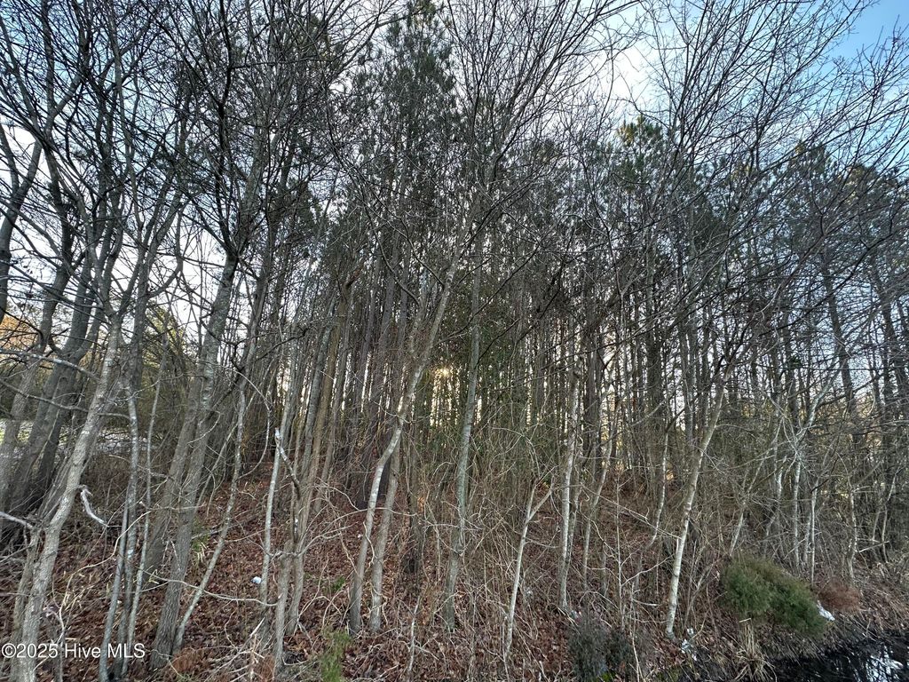 Photo of Tbd Pine Street, Conway, NC 27820 (MLS # 100540644)