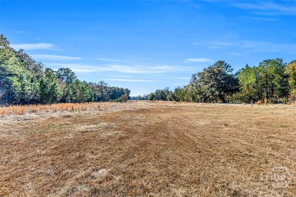 Photo of 580 Old Gress Island Road, Midway, GA 31320 (MLS # SA345547)
