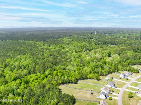 Tiny photo for 235 Morris Court, Jacksonville, NC 28540 (MLS # 100568445)