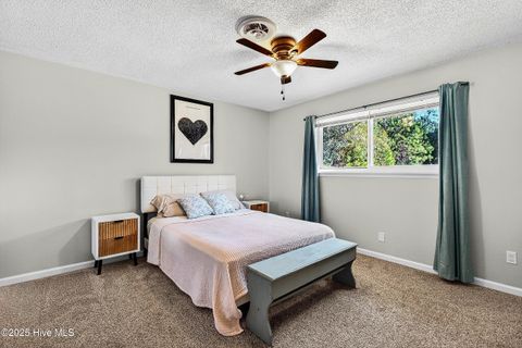 Tiny photo for 6021 E Red Oak Court, Jacksonville, NC 28546 (MLS # 100545052)