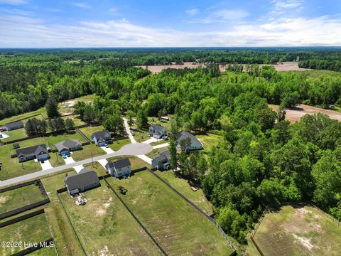 Tiny photo for 106 Gooseberry Court, Maysville, NC 28555 (MLS # 100568805)