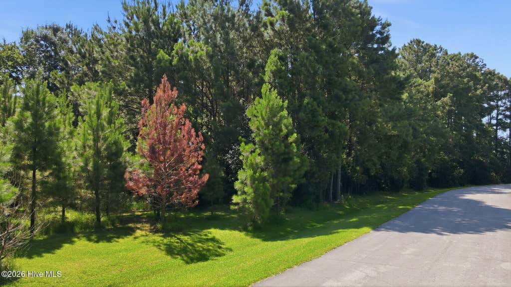 Photo of 9325 Doris Drive, Oriental, NC 28571 (MLS # 100596075)