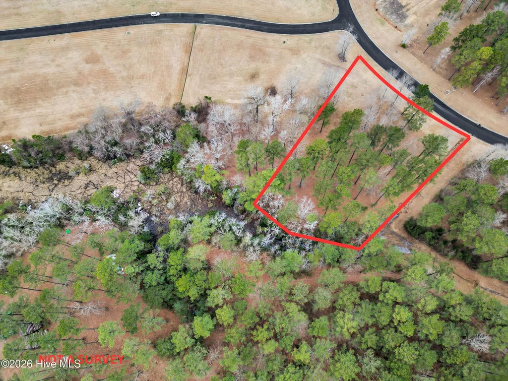 Photo of 117 Southern Plantation Drive S, Oriental, NC 28571 (MLS # 100554999)