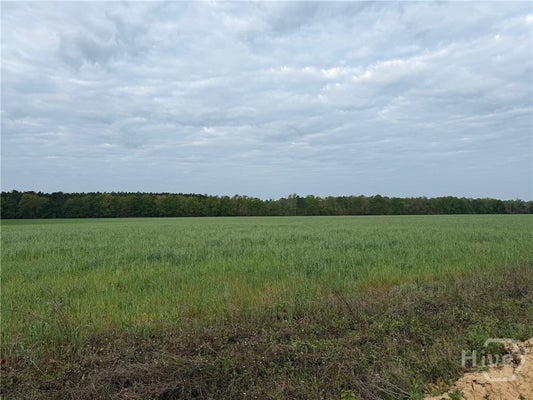 2 SPRINGFIELD AVE, GUYTON, GA 31312 - Image b910c0f6fcd3fbae9fbc26537887abef/3232601938