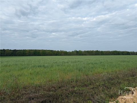 Vacant Land For Sale - 02 Springfield Egypt Road<br/> Springfield, GA 31329