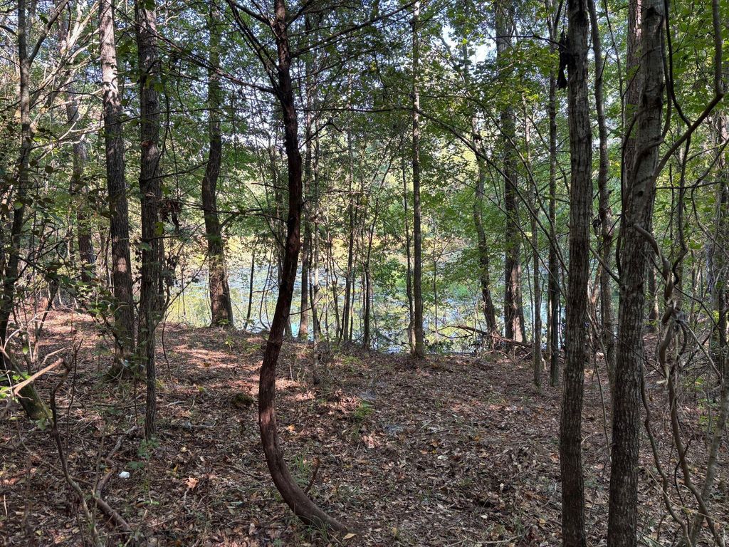 Photo of 1460 Whitetown Road, McCormick, SC 29835 (MLS # 546900)