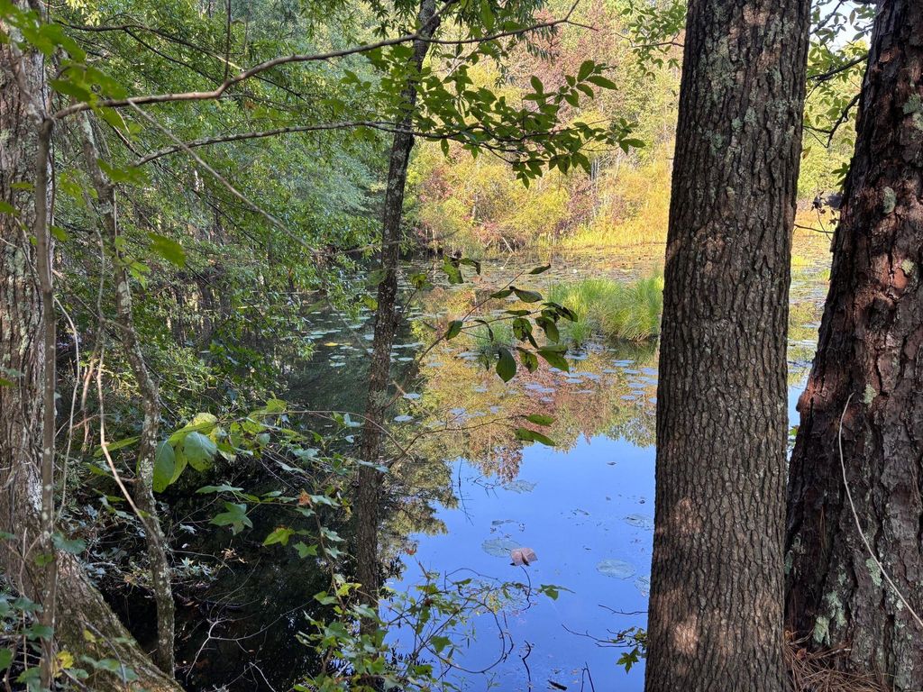 Photo of 1460 Whitetown Road, McCormick, SC 29835 (MLS # 546900)